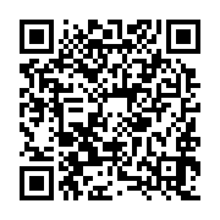 QR code for XZD393