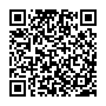 QR code for XZH381