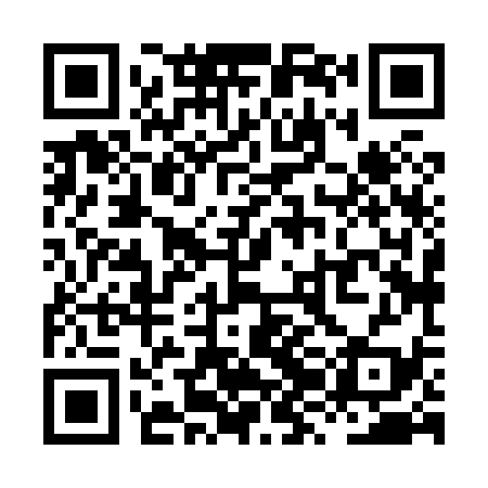 QR code for XZH839