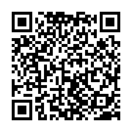 QR code for XZJ339