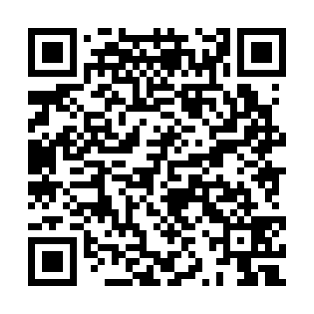 QR code for XZX339