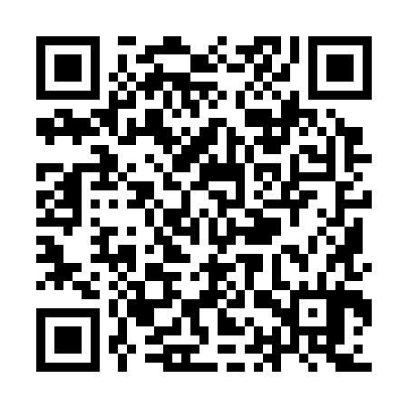 QR code for YAY384