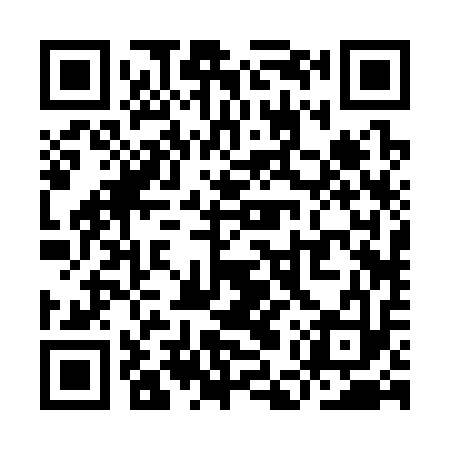 QR code for YER313