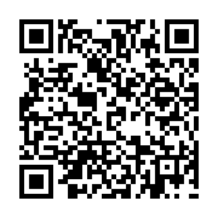 QR code for YFM295