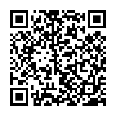 QR code for YFM413