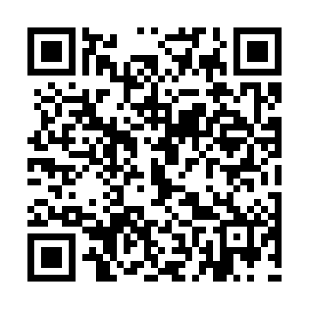 QR code for YFT382