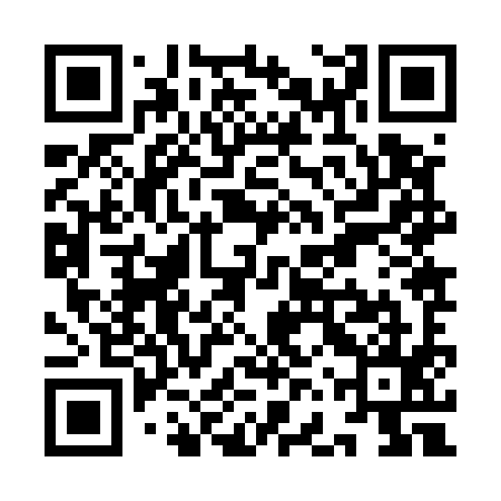 QR code for YFZ595