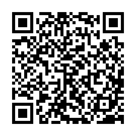 QR code for YGP381
