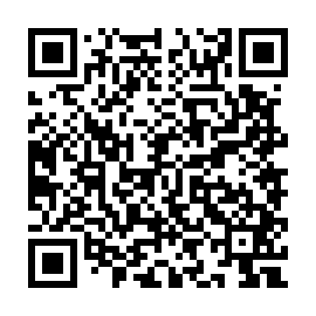 QR code for YIN541