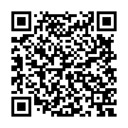 QR code for YIR873