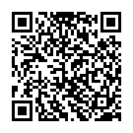 QR code for YLE233