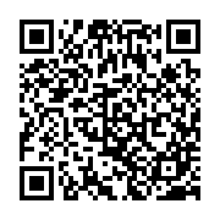 QR code for YNE387