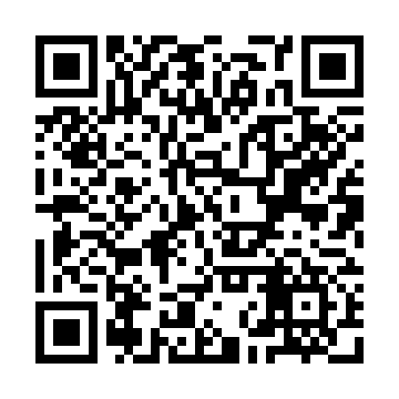 QR code for YNX377