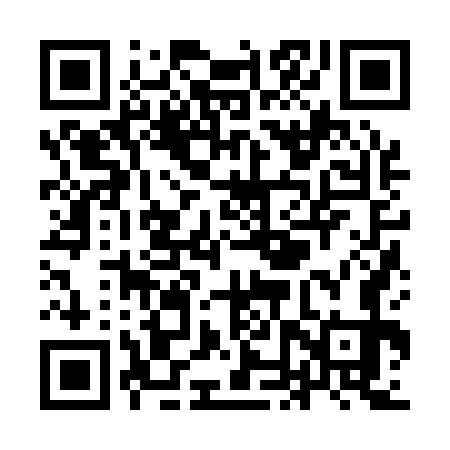 QR code for YNZ173