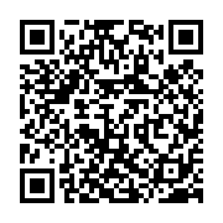 QR code for YPV411