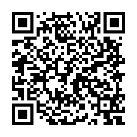 QR code for YPY594