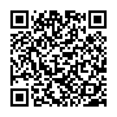 QR code for YSL029