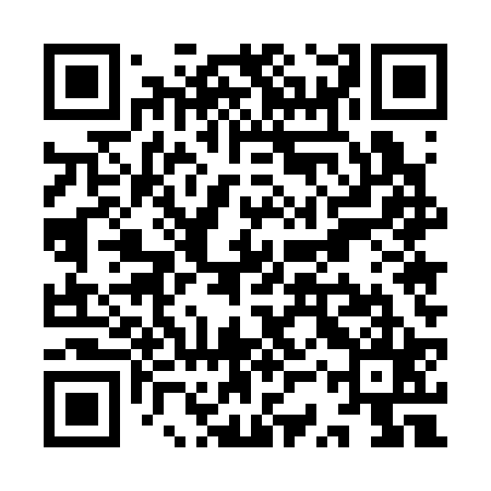 QR code for YSU325