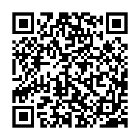 QR code for YVP113