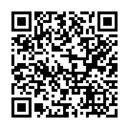 QR code for YXV339