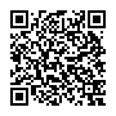 QR code for YYZ239