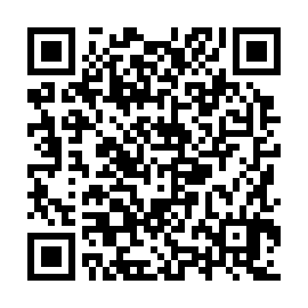 QR code for YZH384