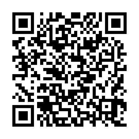 QR code for YZL963