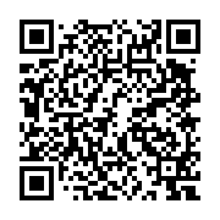 QR code for YZQ491