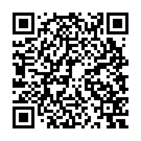 QR code for YZT377