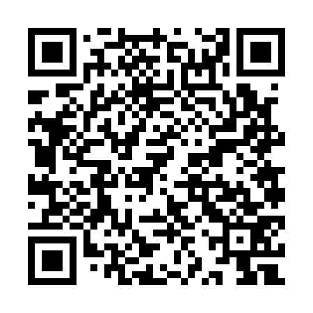 QR code for YZV173