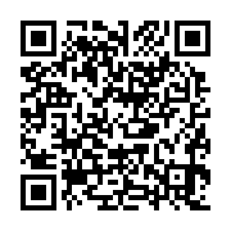 QR code for YZV371