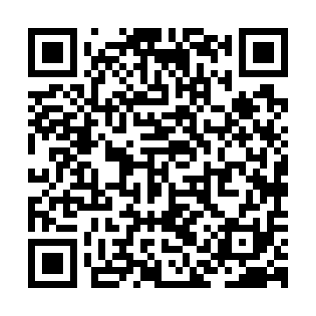 QR code for ZAX711