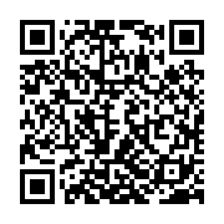 QR code for ZBB271