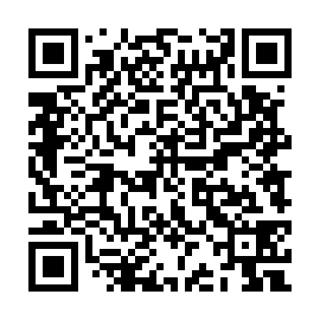 QR code for ZBD538