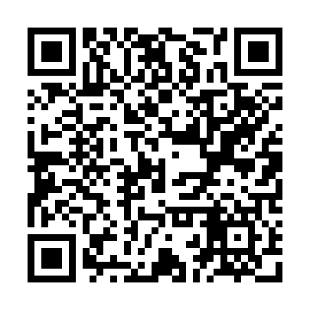 QR code for ZBT307