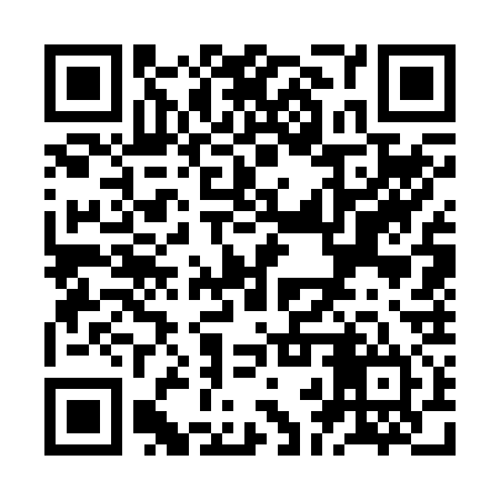 QR code for ZBW234