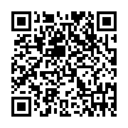 QR code for ZBX393