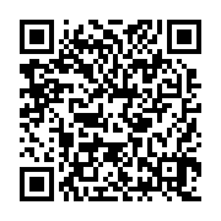 QR code for ZBZ207