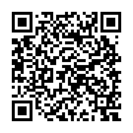 QR code for ZBZ391