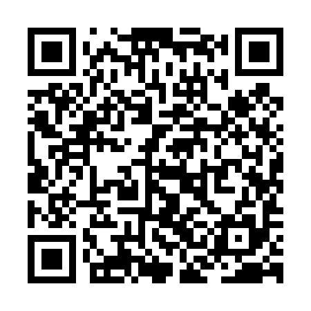 QR code for ZCI495