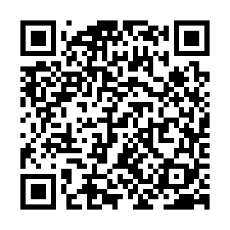 QR code for ZCS369