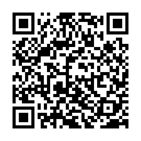 QR code for ZDF309