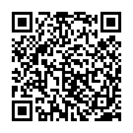 QR code for ZDI493