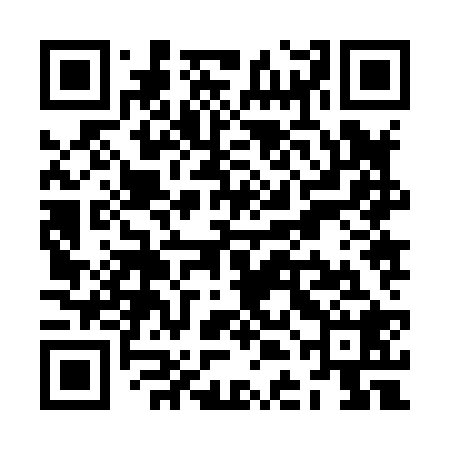 QR code for ZDJ828