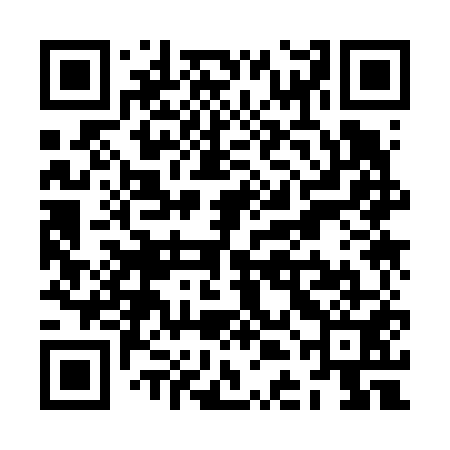 QR code for ZDK651