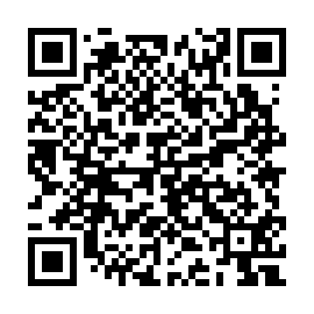 QR code for ZDM311