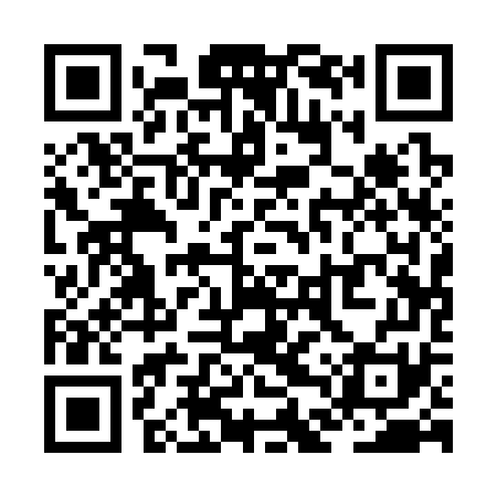 QR code for ZDQ371