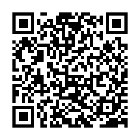 QR code for ZDS301