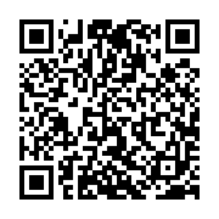 QR code for ZDT593