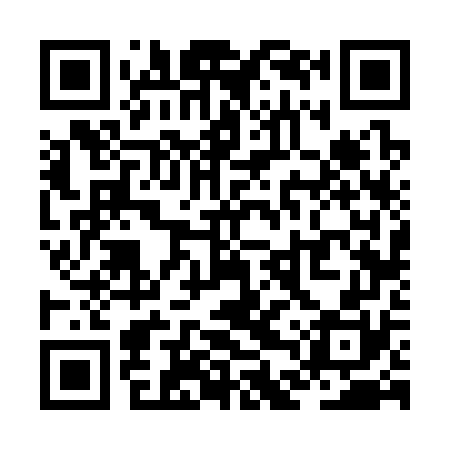 QR code for ZDV370